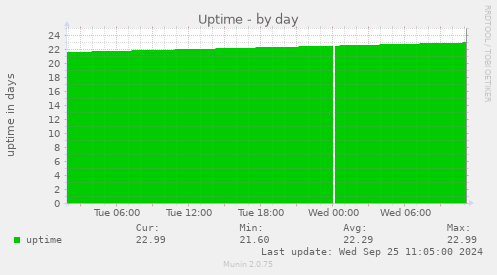 daily graph